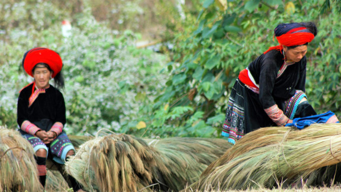 Red Hmong Ladies, Lai Chau, Vietnam Red Hmong