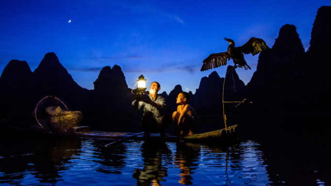 Fishing with cormorants, Yangshuo, China Cormorants 1