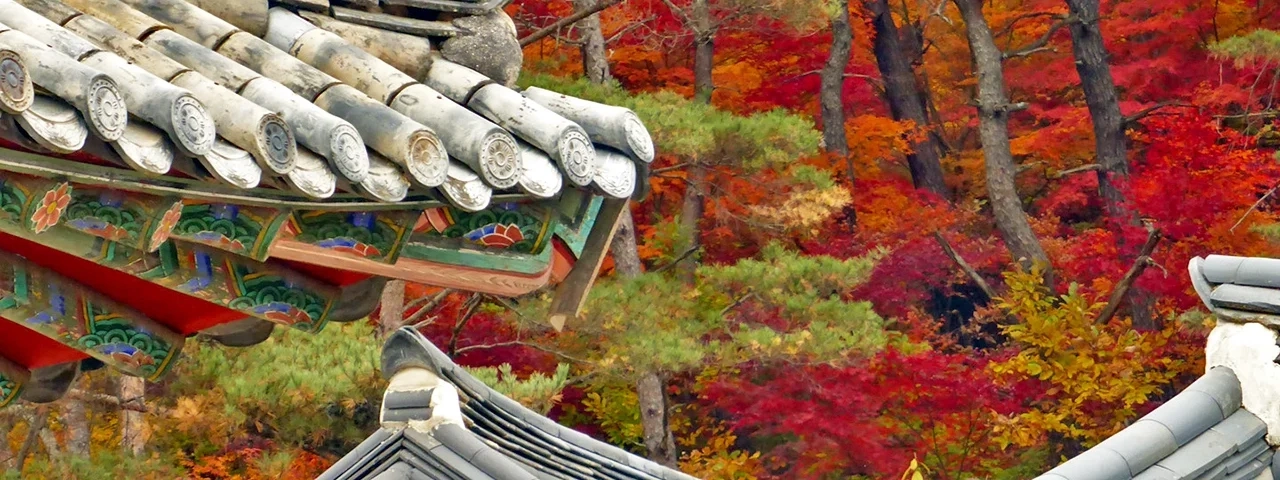 Korea walking tour Korea private tour