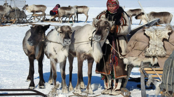 Nenets 2